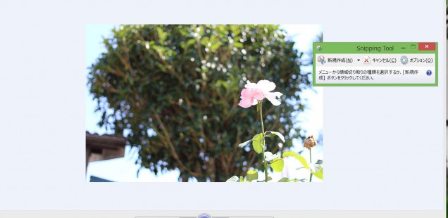画面のキャプチャを手軽にとりたい