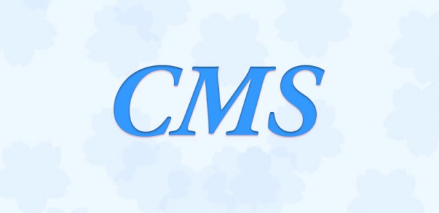 CMSとは…webサイトを便利に管理できるもの